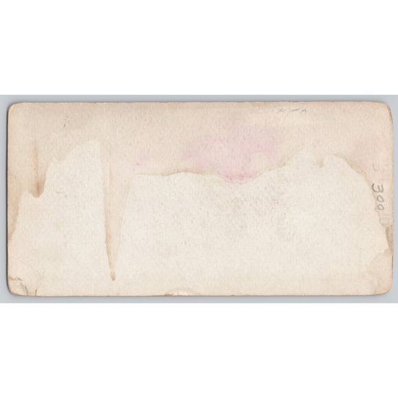 Stereoview Card "Old Rex King of Lions At the Zoo" No. 9 TW Ingersoll 1898 - Picture 2 of 3